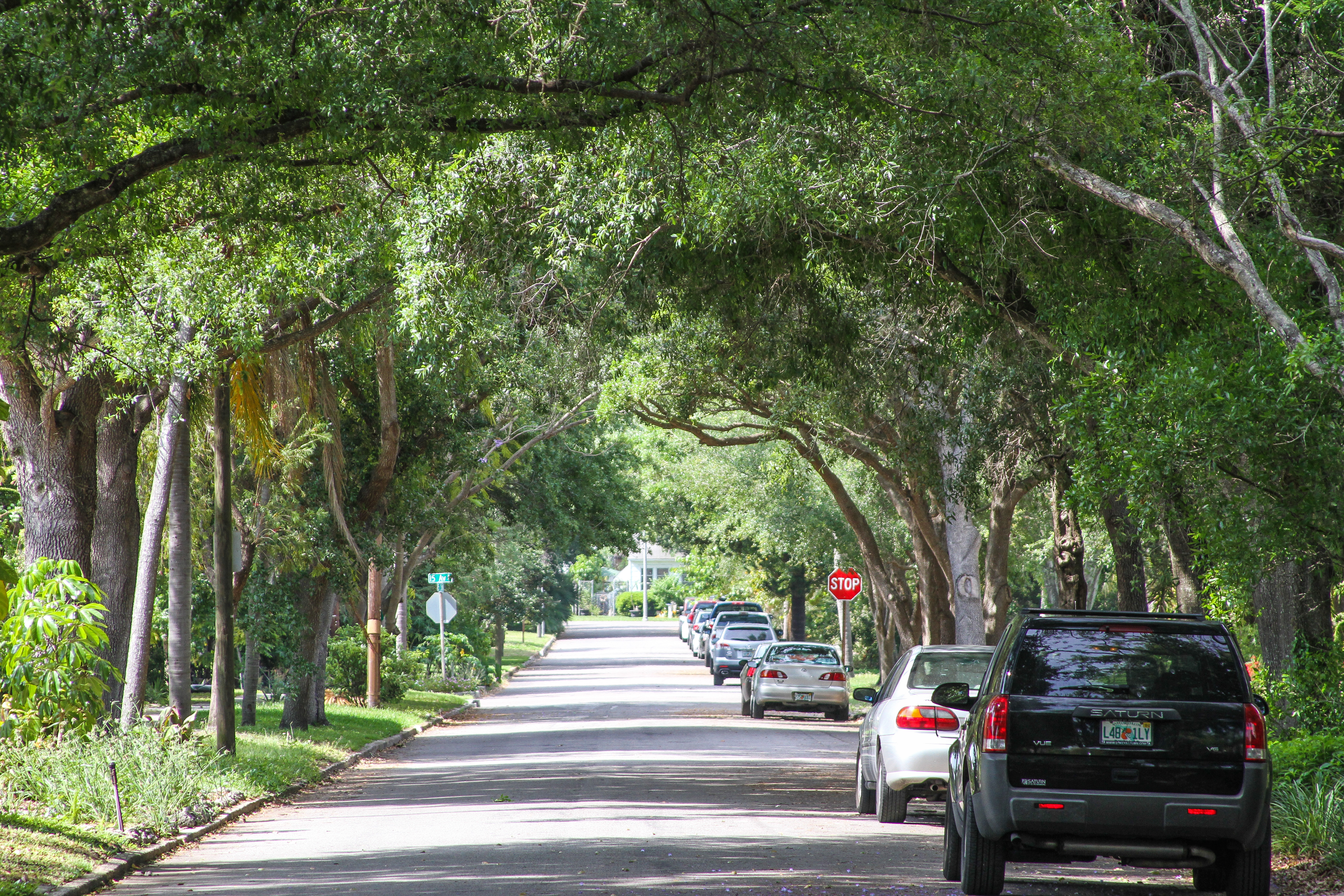 Magnolia Heights, St. Petersburg Real Estate Homes & Condos For Sale Homes for Sale